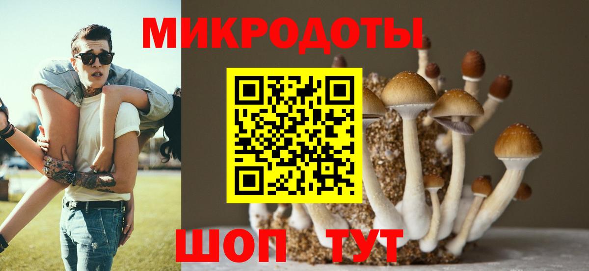хочу   Псилоцибиновые грибы Magic Shrooms  Вход с VPN  Пыть-Ях 